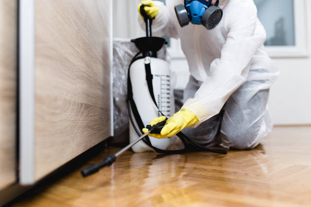 Best Flea Control Services  in North Eastham, MA