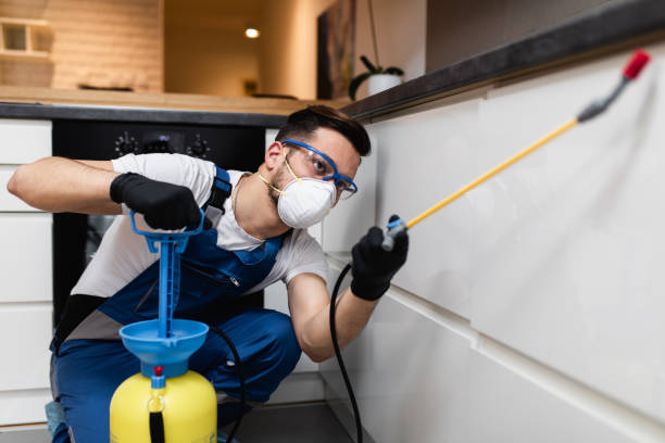 Best Emergency Pest Control  in North Eastham, MA