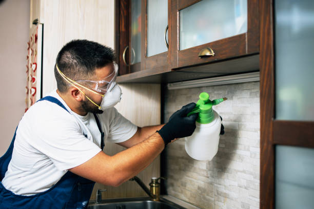 Best Pest Prevention Services  in North Eastham, MA