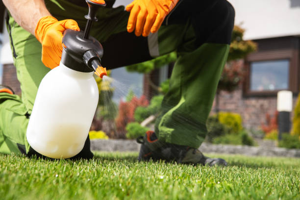 Best Best Pest Control Companies  in North Eastham, MA