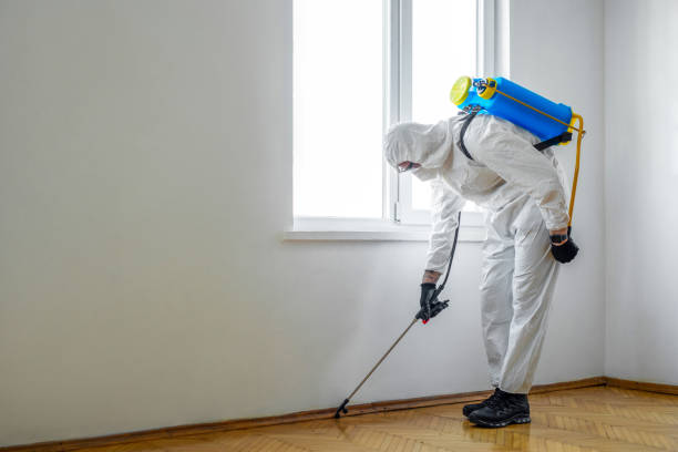 Best Commercial Pest Control Services  in North Eastham, MA