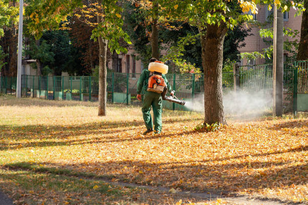Best Rodent Control Near Me  in North Eastham, MA